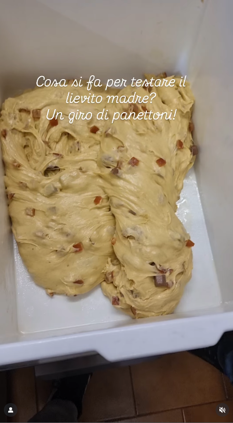 Canzone virale per food reel